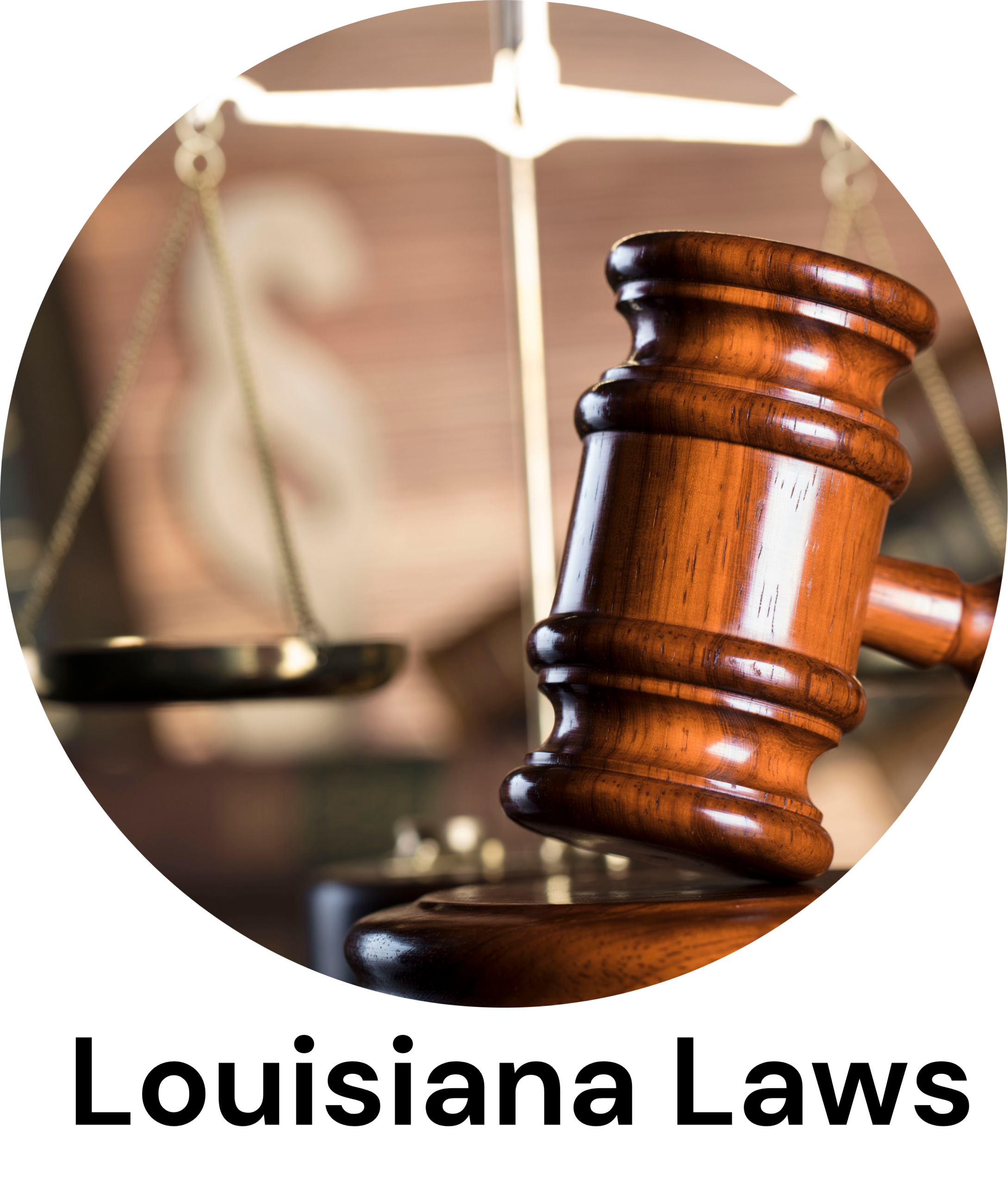 image of a gavel and scale with the text louisiana laws